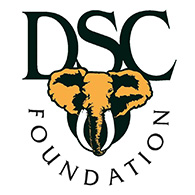 DSC Foundation